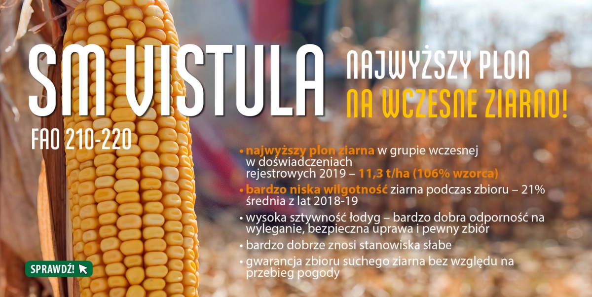 SM Vistula - wyniki