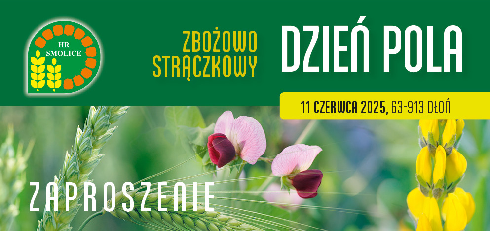 zaprosz25 zbozastraczki druk