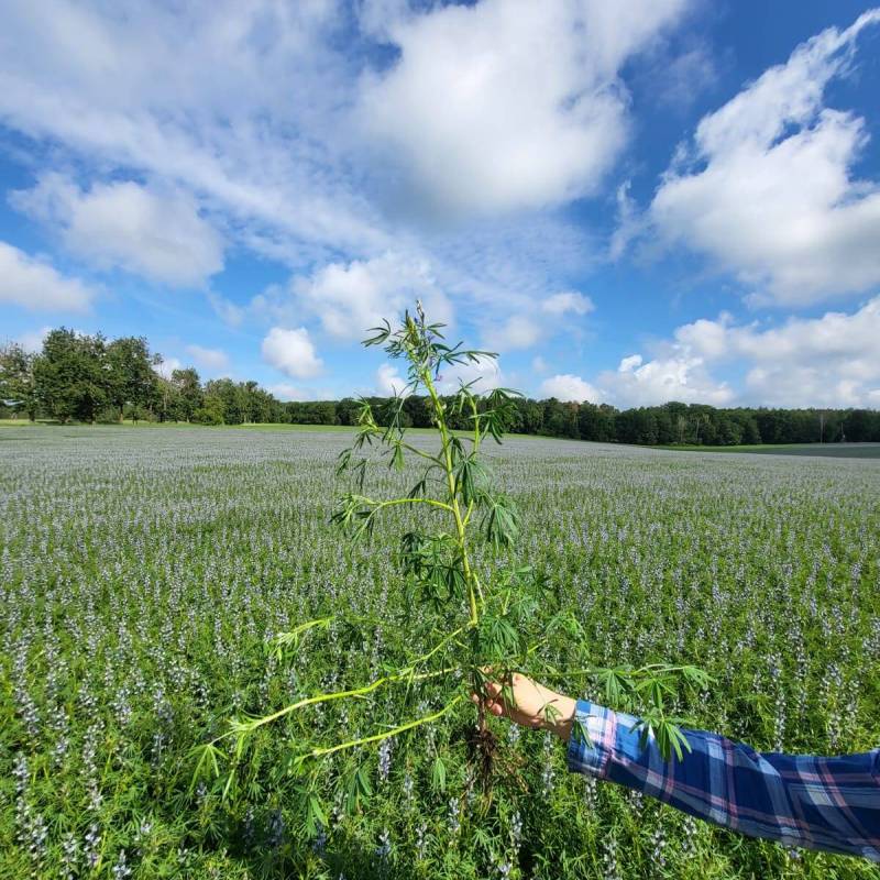 IMG-20240529-WA0001_original