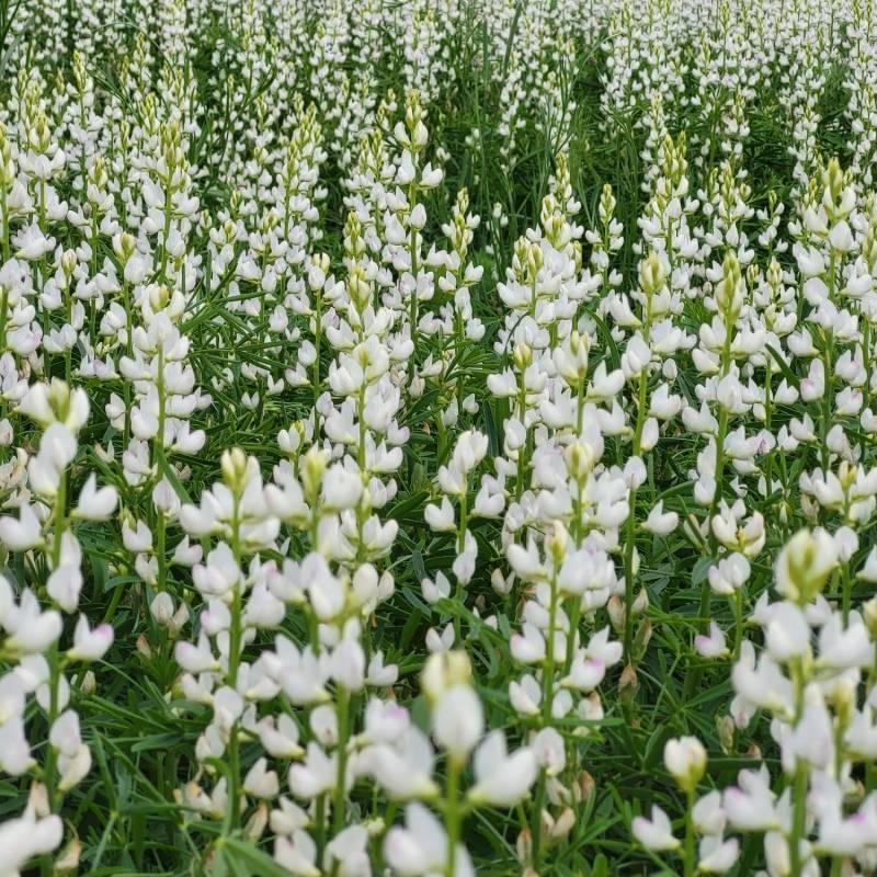 IMG-20240530-WA0037_original