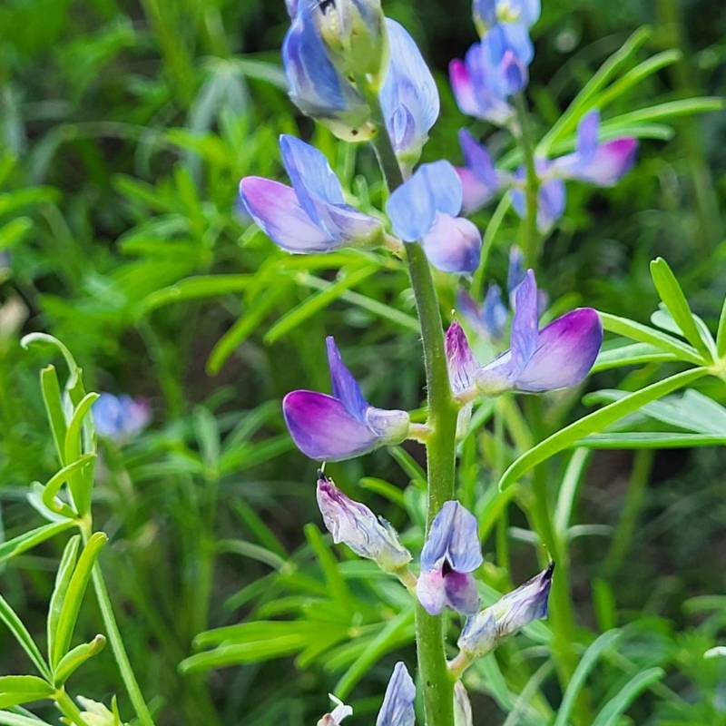 IMG-20240530-WA0041_original