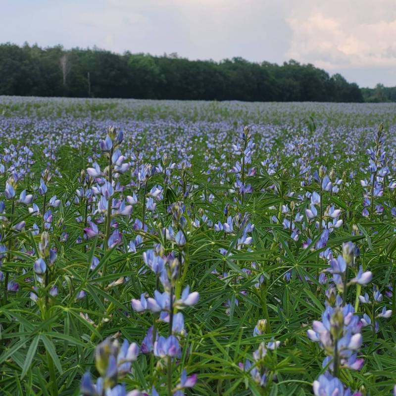 IMG-20240530-WA0042_original