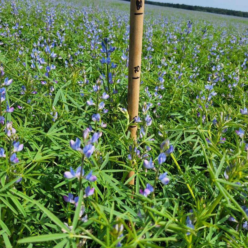 IMG-20240531-WA0006_original