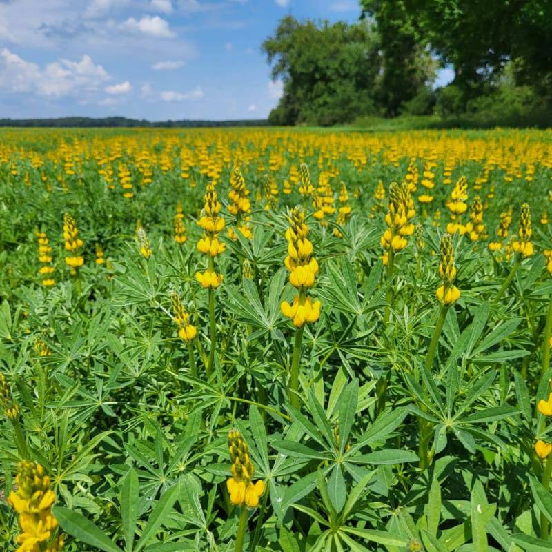 IMG-20240531-WA0007_original