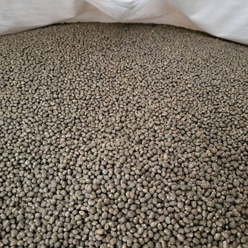 IMG-20250213-WA0003_original