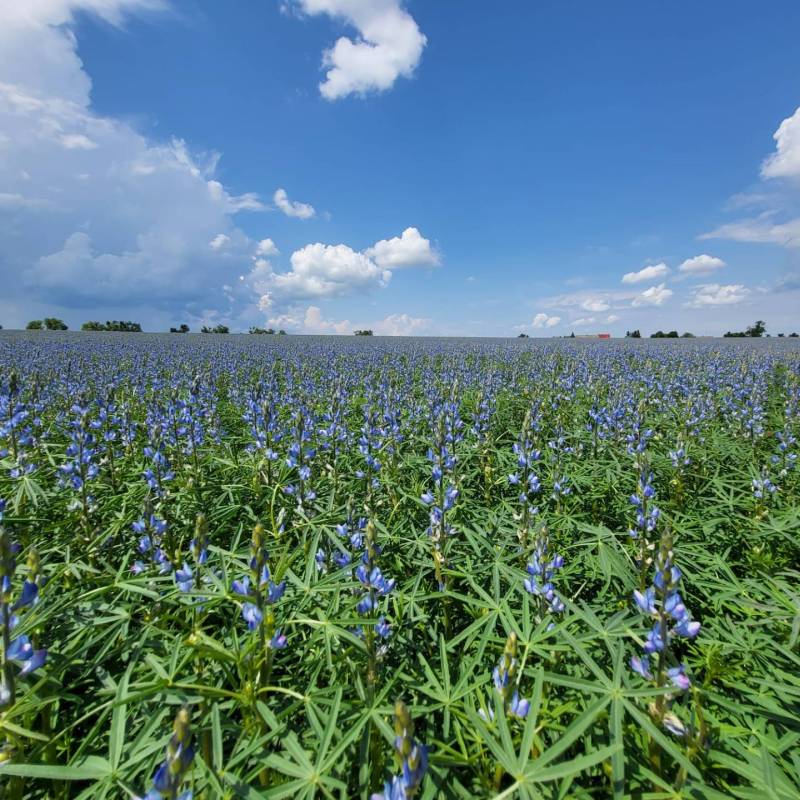 IMG-20250213-WA0005_original