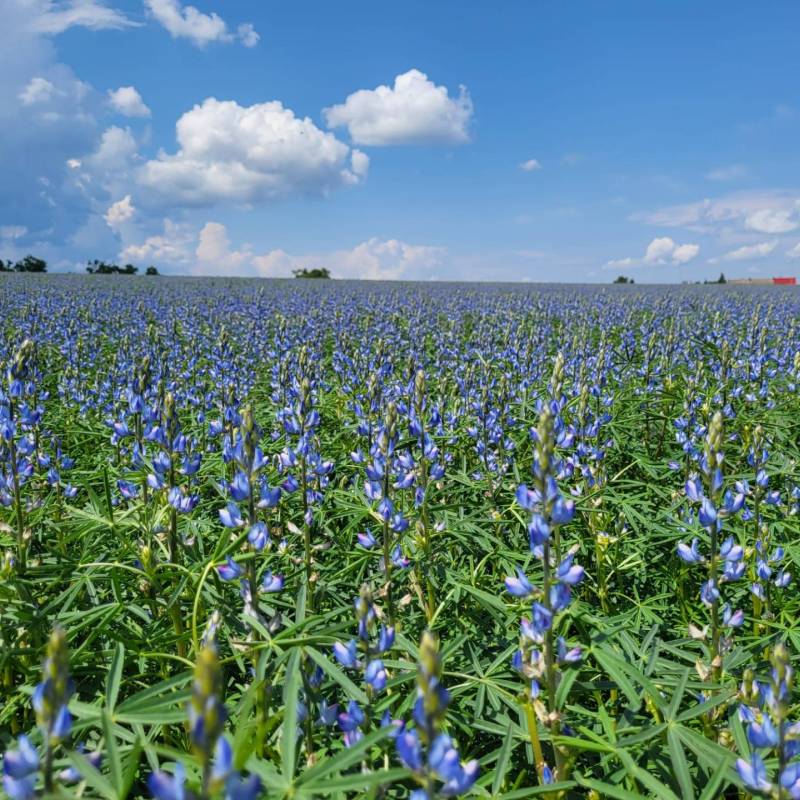 IMG-20250213-WA0010_original