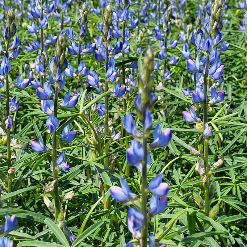 IMG-20250213-WA0011_original