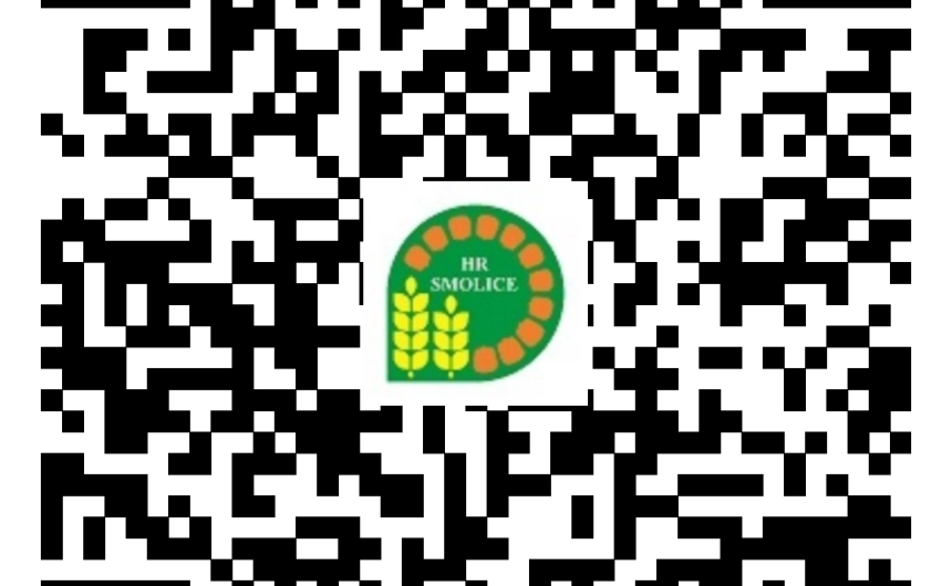 Kolejne poletka demonstracyjne kukurydzy w Smoszewie - Hodowla Roślin Smolice