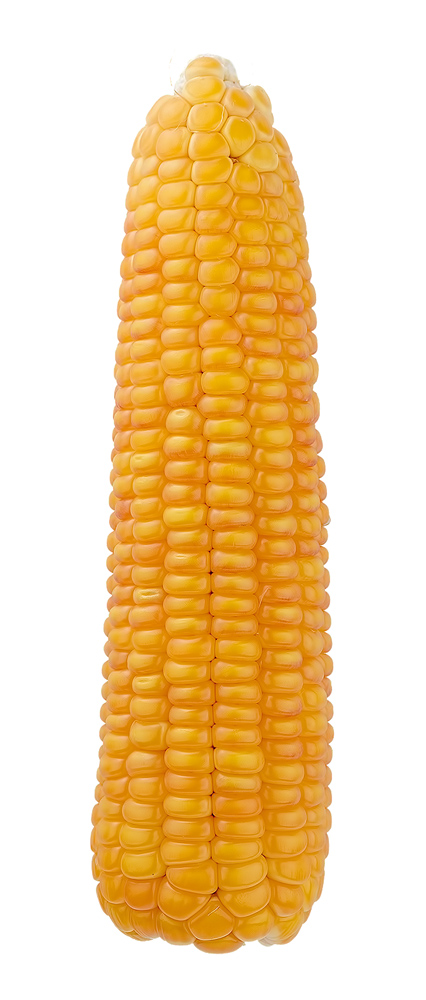 kukurydza